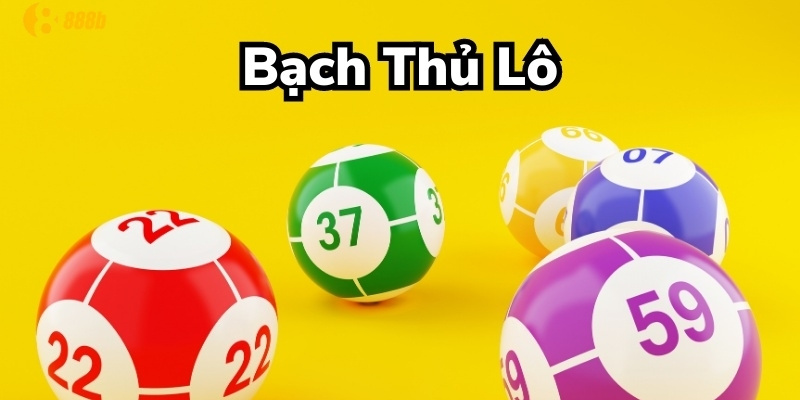 Bạch thủ lô